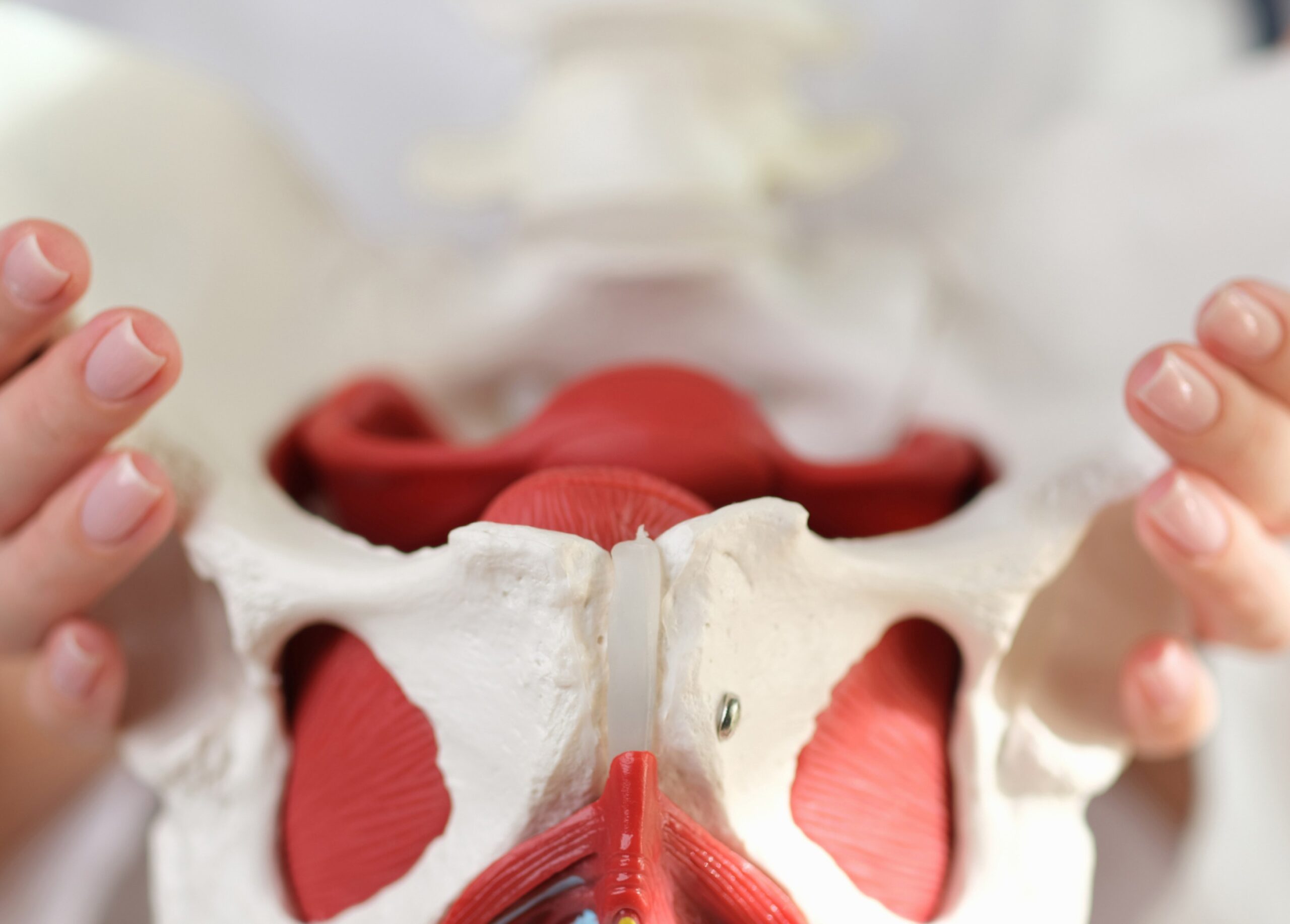 Chirurgies de la hanche | Cabinet de chirurgie orthopédique | orthopédiste spécialiste de la hanche | Paris